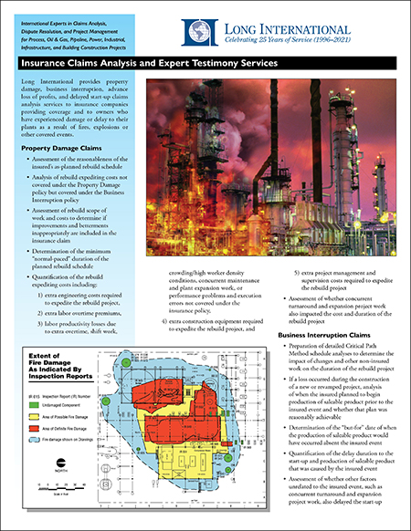 Insurance Claims Analysis and Expert Testimony Services brochure