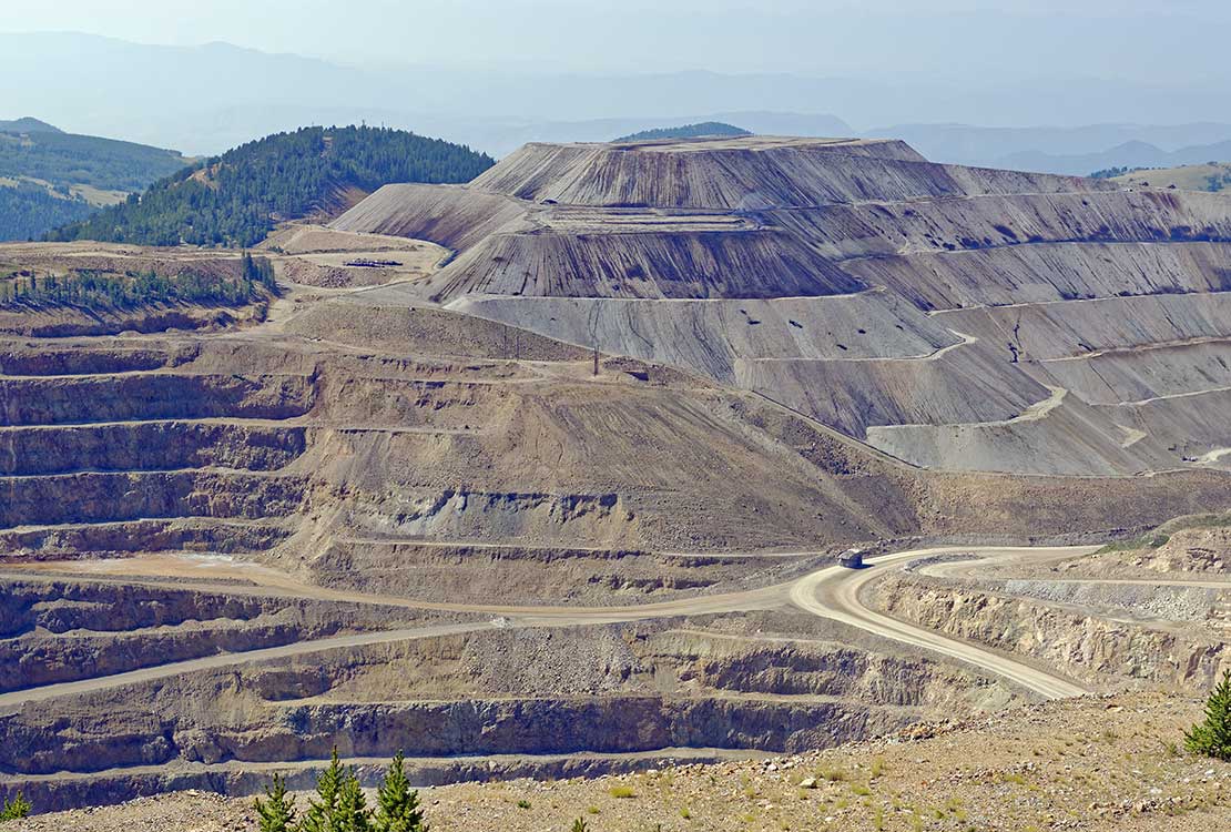 Portrait of Gold Mine