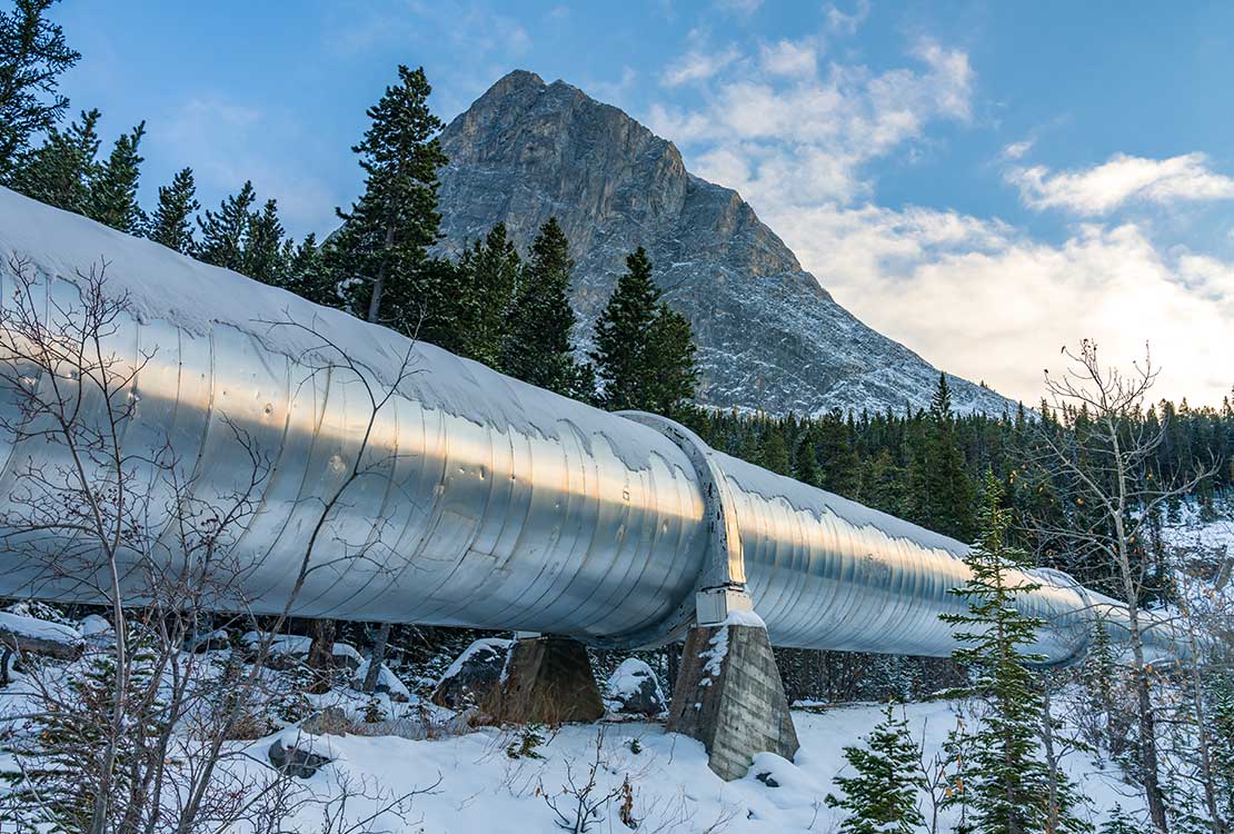 Portrait of Pipeline